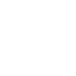 steelback logo