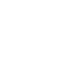 IA evolutiva icon